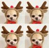 Chrimas Dog Winter Warm Clothing Cute Plush Coat Hoodies Pet Costume Jacket For Puppy Cat French Bulldog Chihuahua Small Dog Clothing